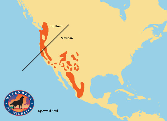 northern-spotted-owl-range-map