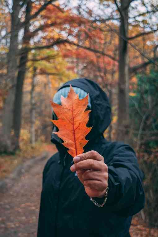 Person holding leaf in front of their face in fall