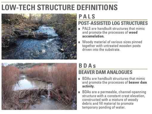 Commonly used Process-Based Restoration structures