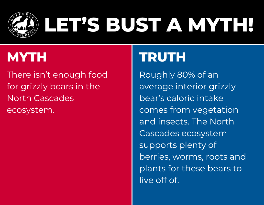 Let's Bust a Myth - Grizzly blog graphic 2