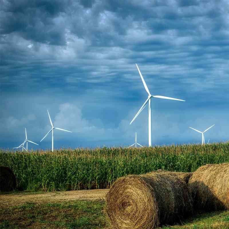 Wind Farm and Field