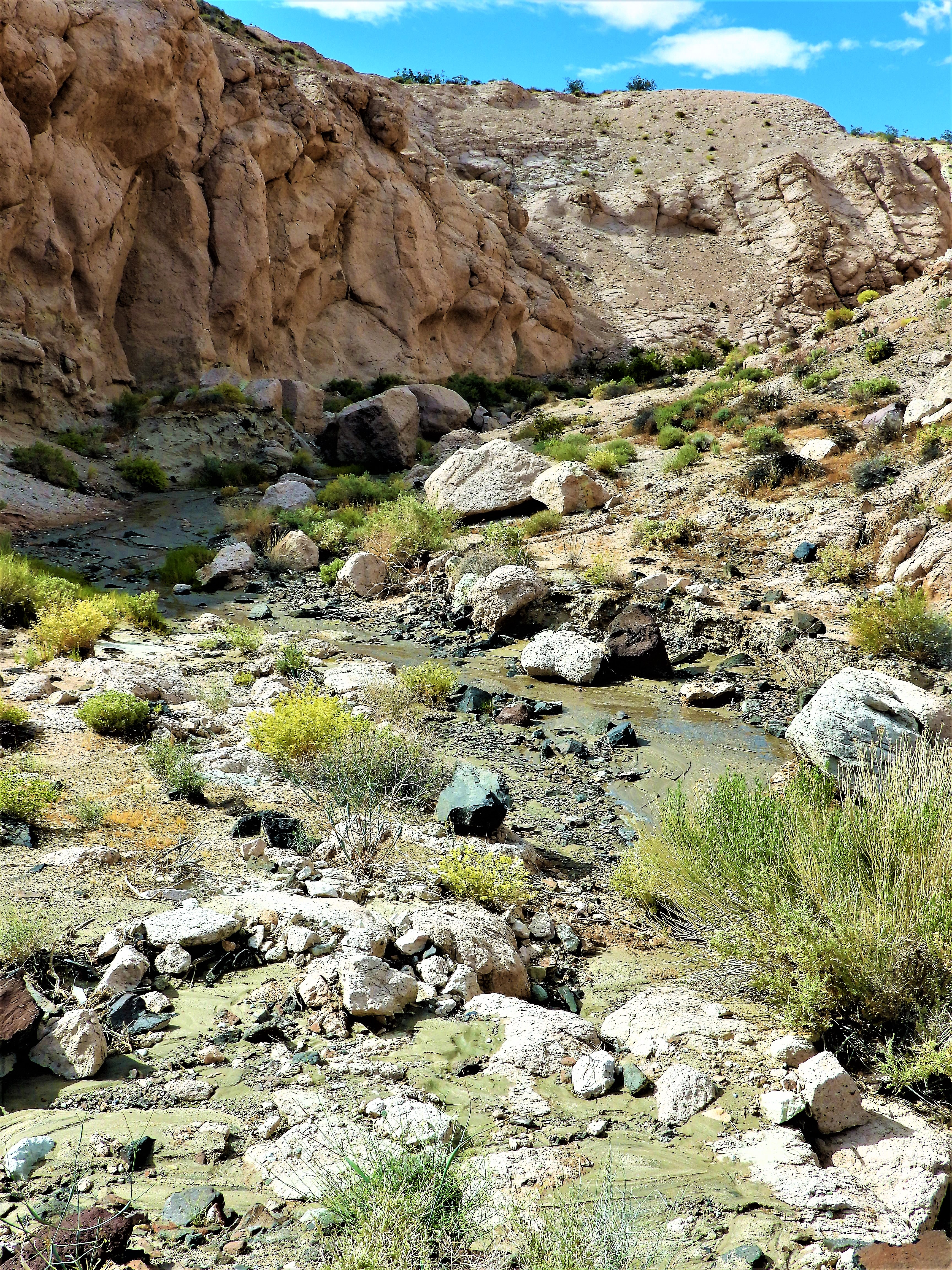 Saving California’s Red Rock Canyon State Park Defenders of Wildlife