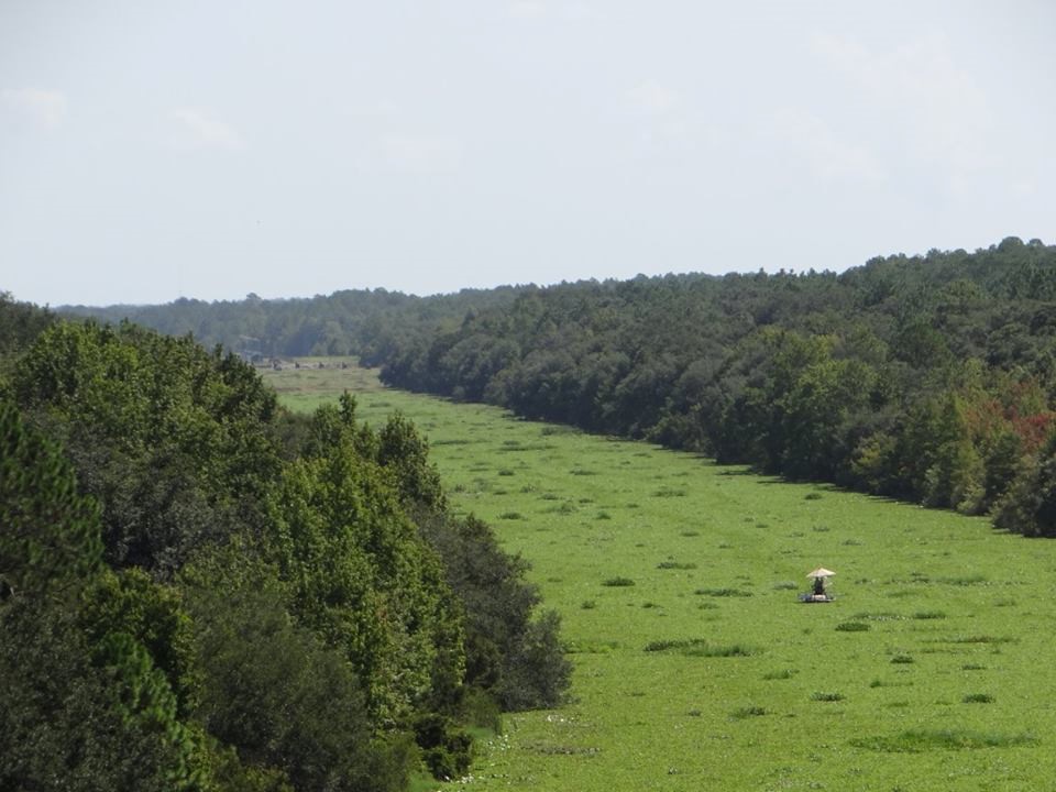 Cross-Florida Barge Canal