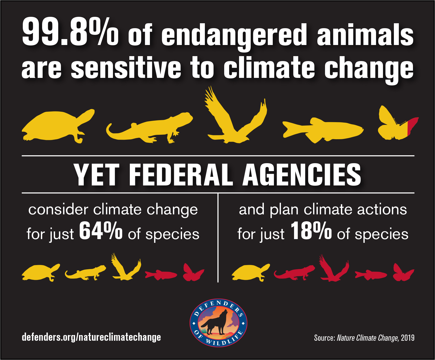 climate change effects on animals essay