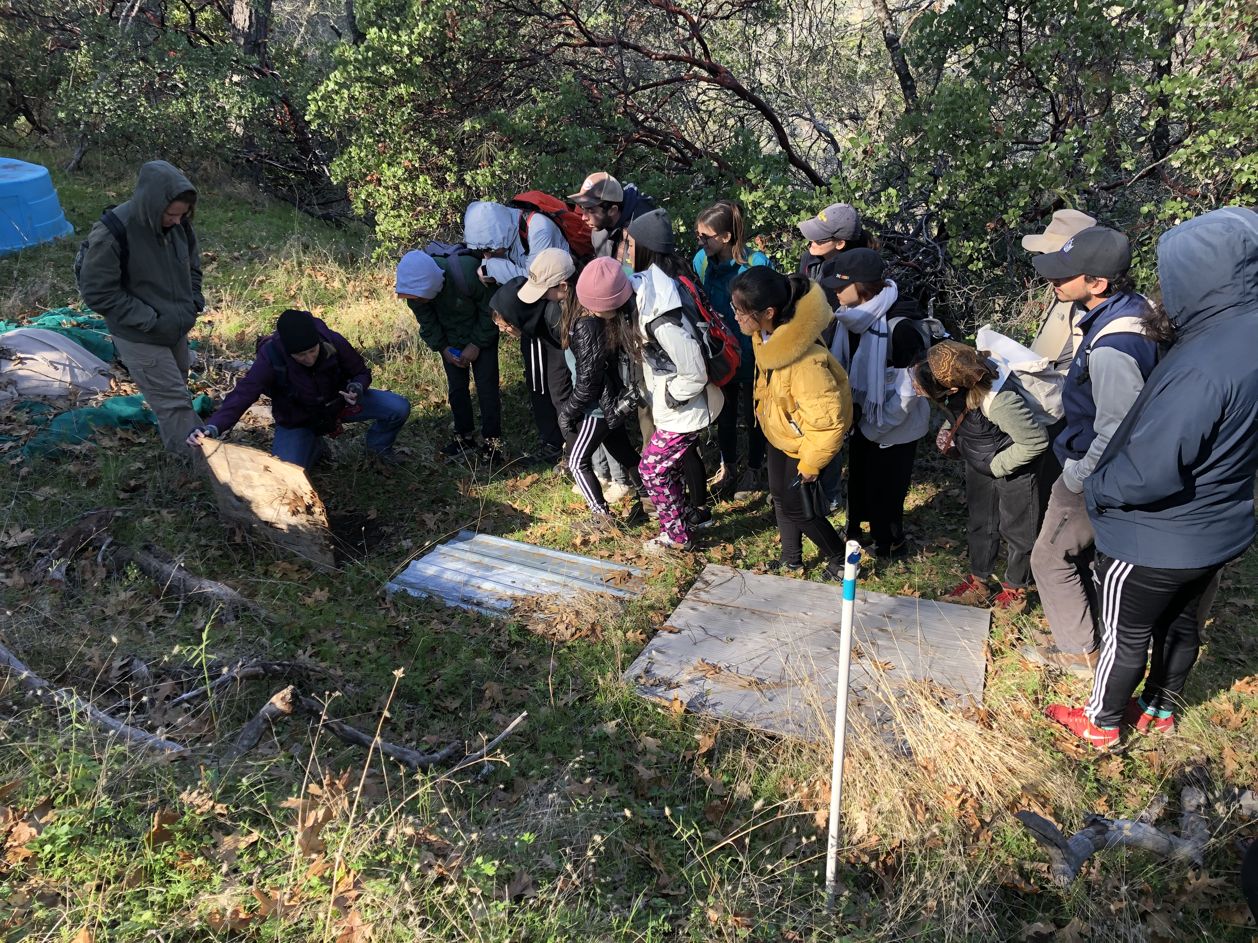 Pam Flick - California - Quail Ridge Nature Walk