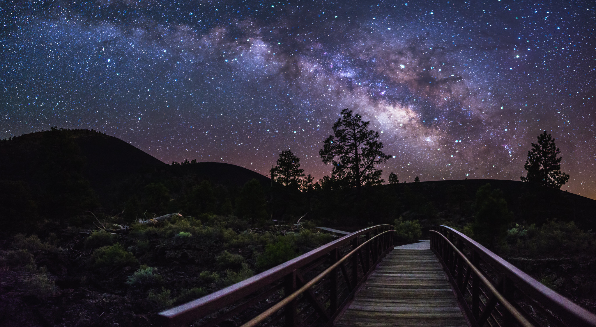 A Dark Sky Is The Best Sky Defenders Of Wildlife