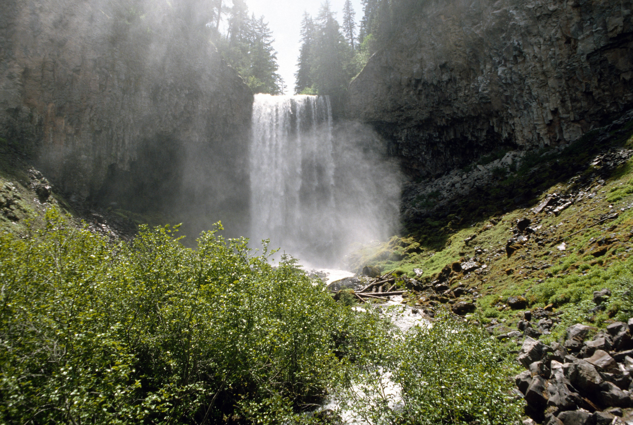 Tamanawas Falls, Mt Hood National Forest