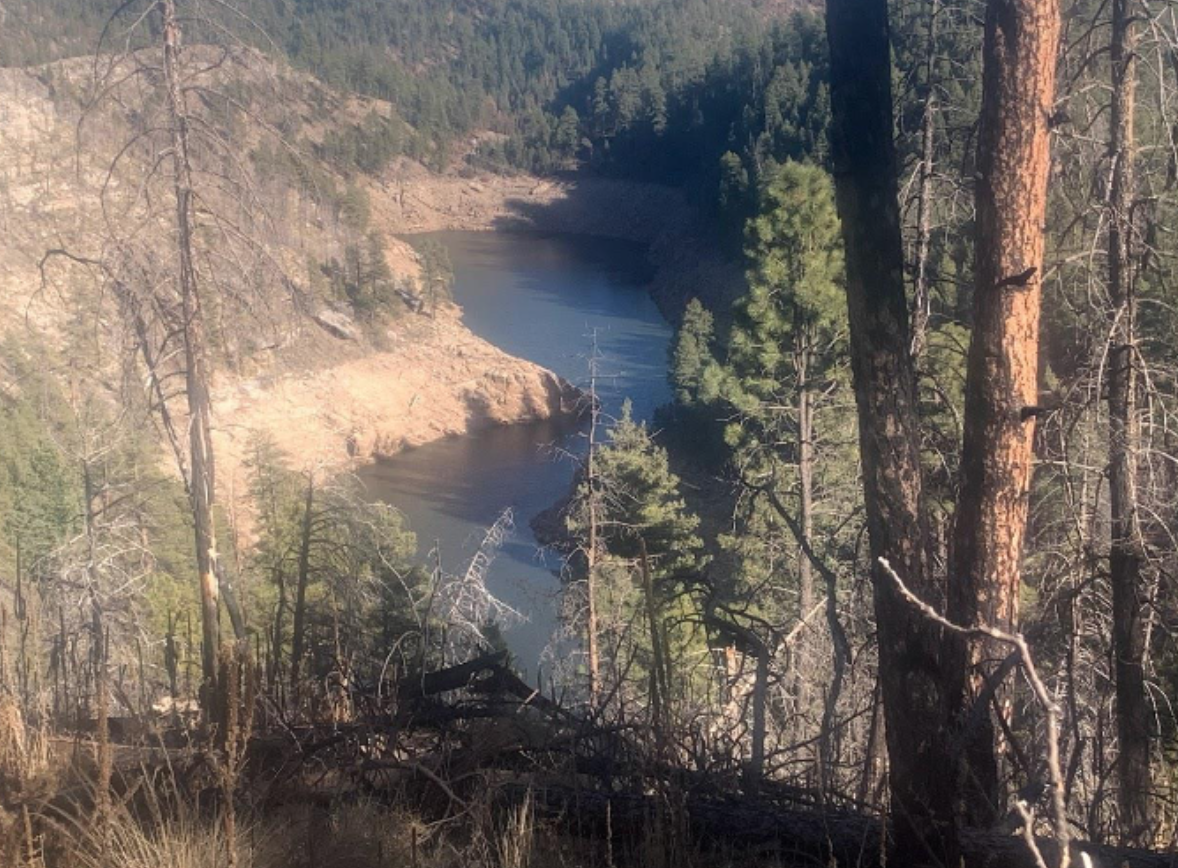 Blue Ridge reservoir surrounded by forest