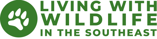 Living With Wildlife in the Southeast