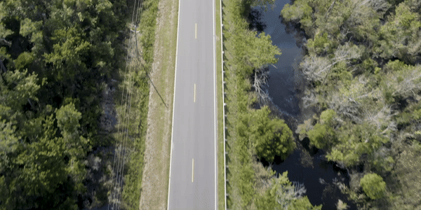 Summer Road Trip - Defenders of Wildlife - Car driving down road at Alligator NRW