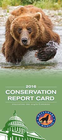 Conservation Report Card | Defenders of Wildlife
