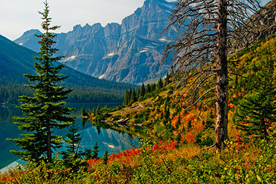 Protecting habitat on Federal lands