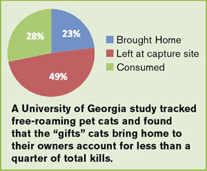 Pet cats and gifts graph