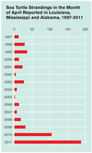 Green Sea Turtle Population Chart