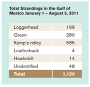 Sea Turtle Strandings, January - July 2011