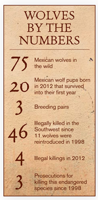 Wolves by the Numbers