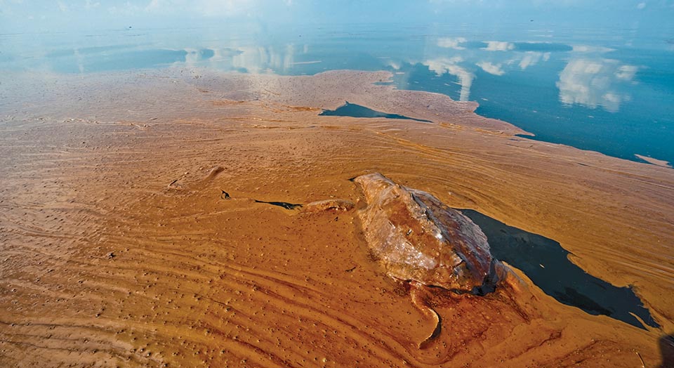 © Joel Sartore / joelsartore.com