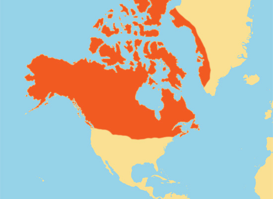 Range Map: Snowy Owl