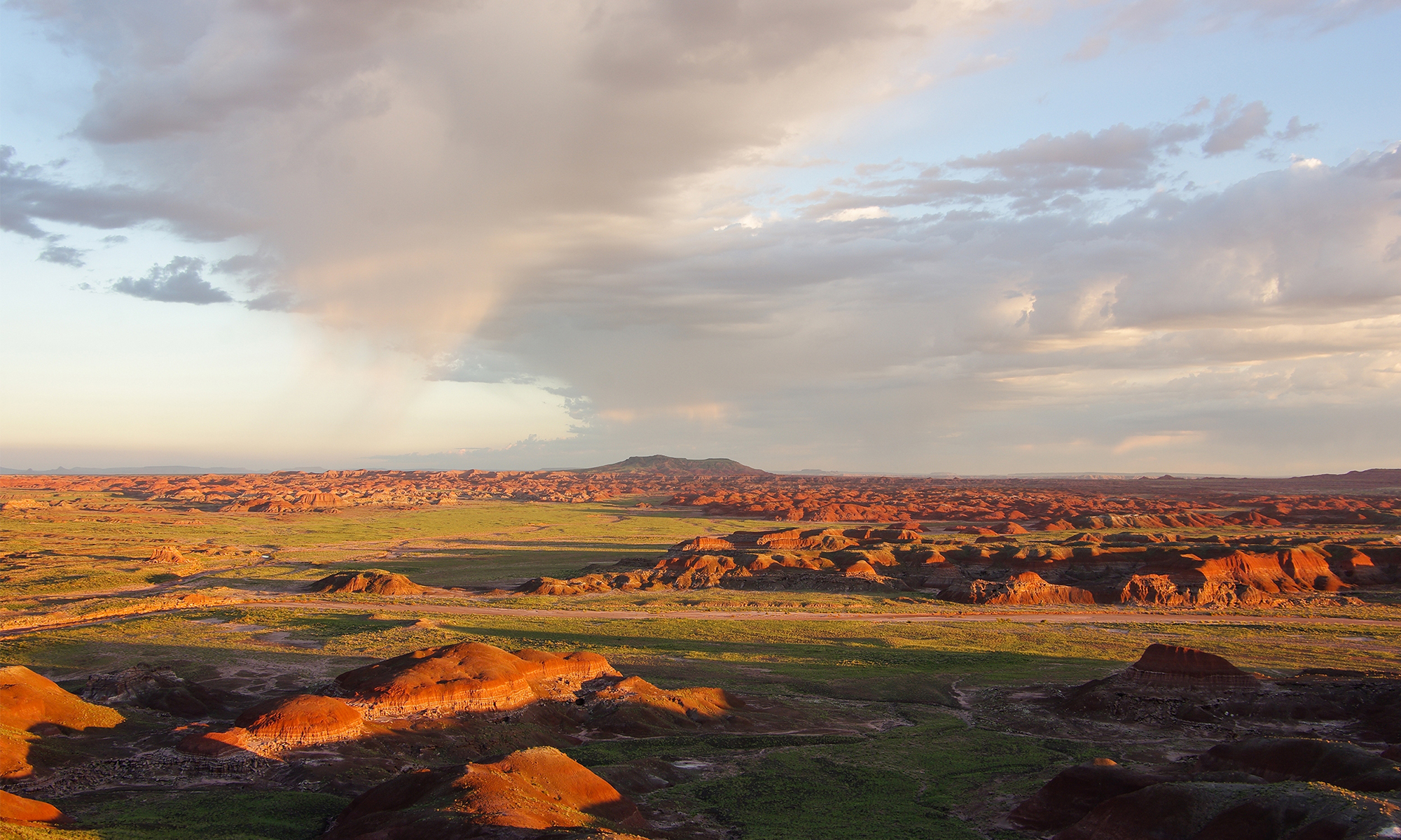 Deserts | Defenders of Wildlife Deserts | Defenders of Wildlife