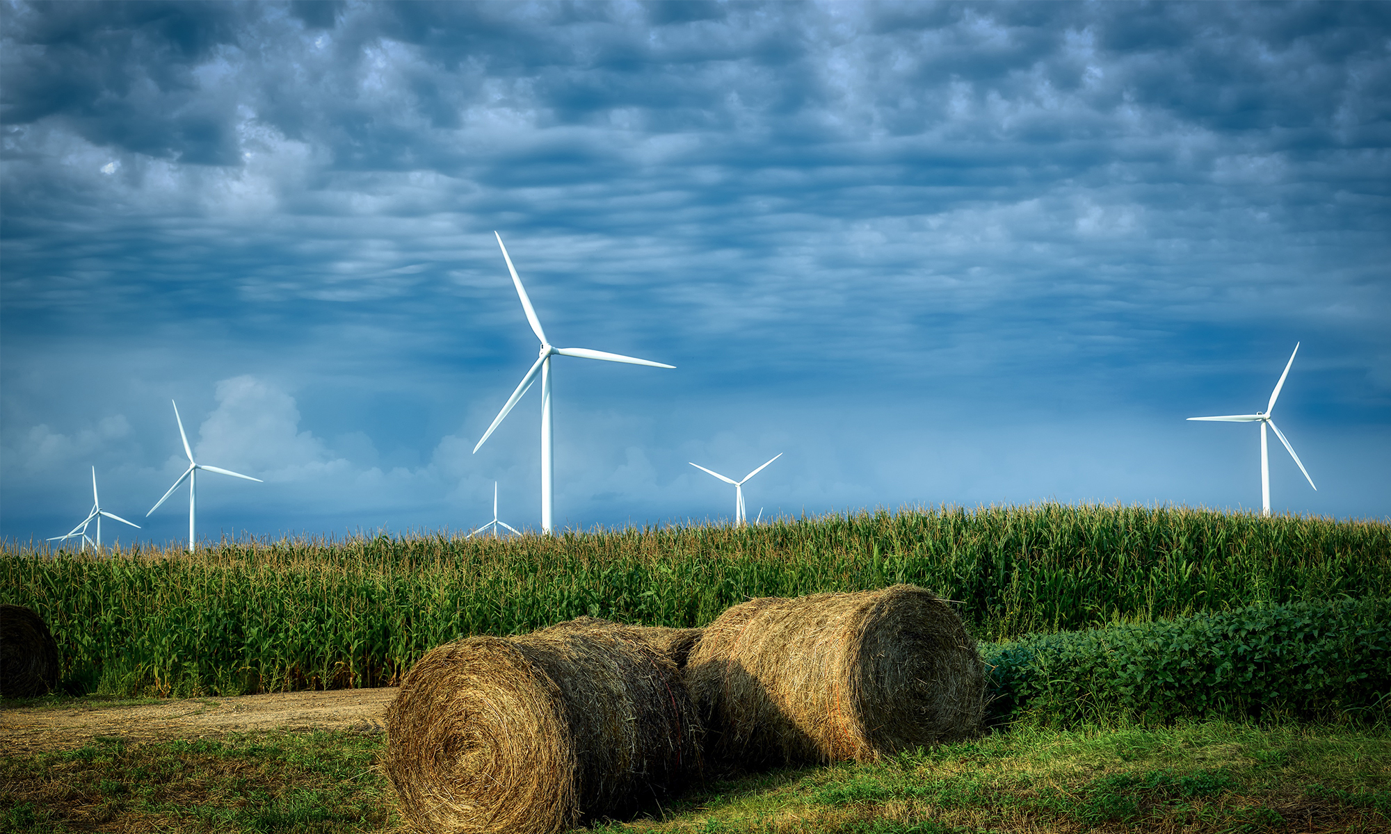 Страна воздуха. Green Energy. Зеленая Энергетика в мире. Зеленая энергия картинки. Становление зеленой энергетики.