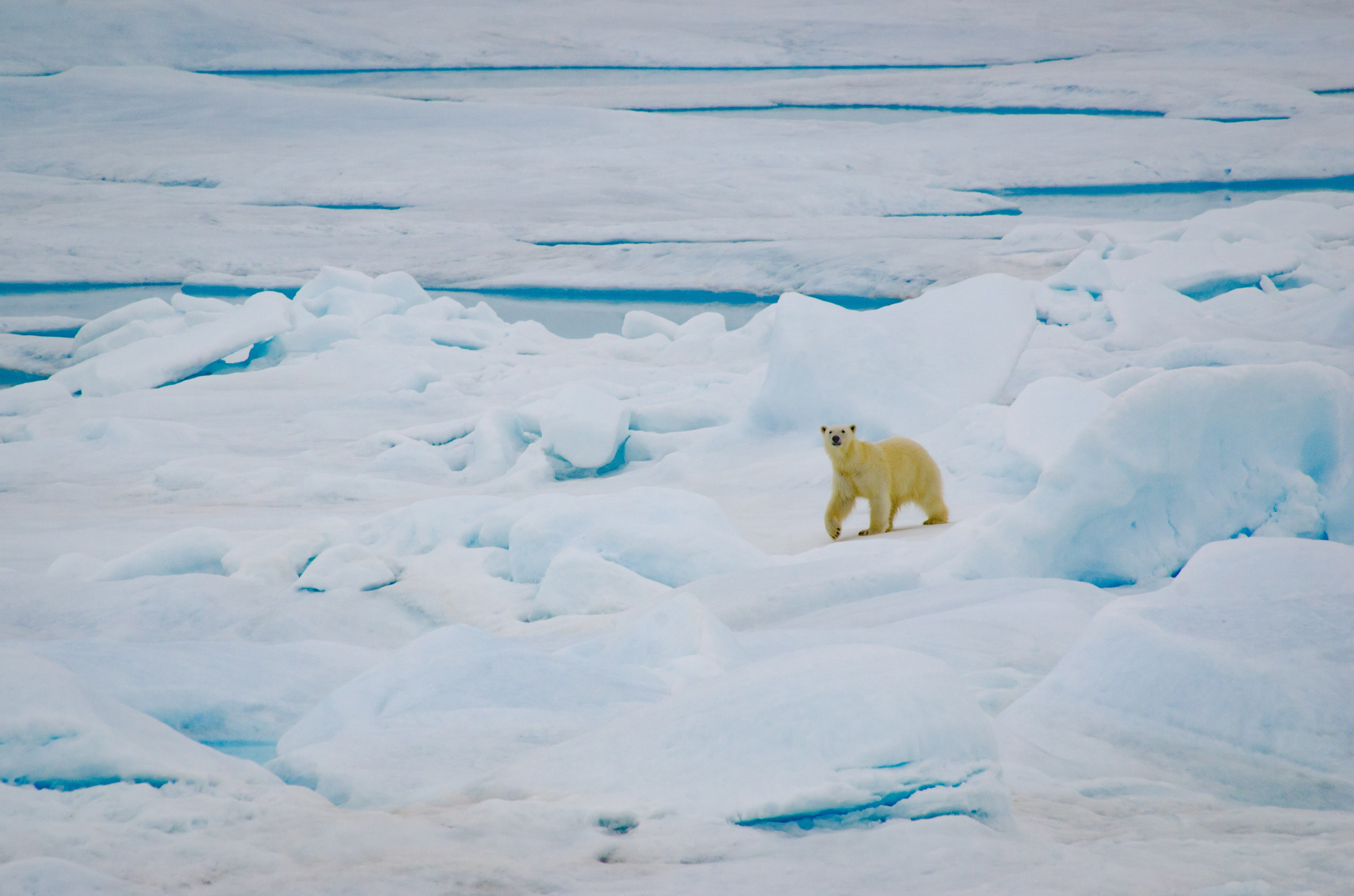 is-a-stable-climate-a-constitutional-right-the-adults-of-tomorrow-sure