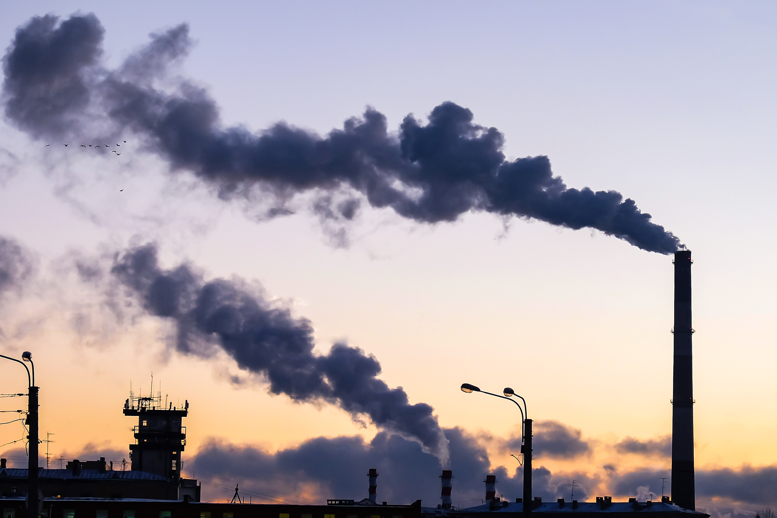 Supreme Court Guts Clean Air Act Defenders of Wildlife Supreme Court Guts Clean Air Act Defenders of Wildlife