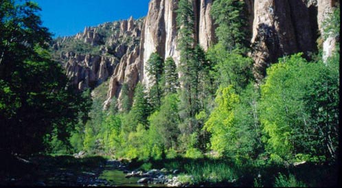 The Gila River - Gila Conservation Coalition