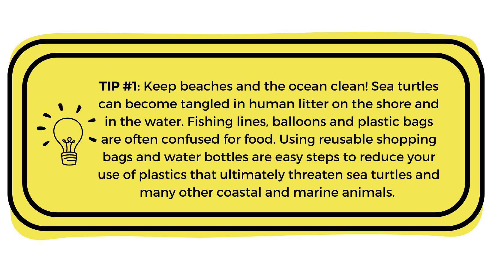 Five Steps to Help Five Sea Turtle Species Defenders of Wildlife