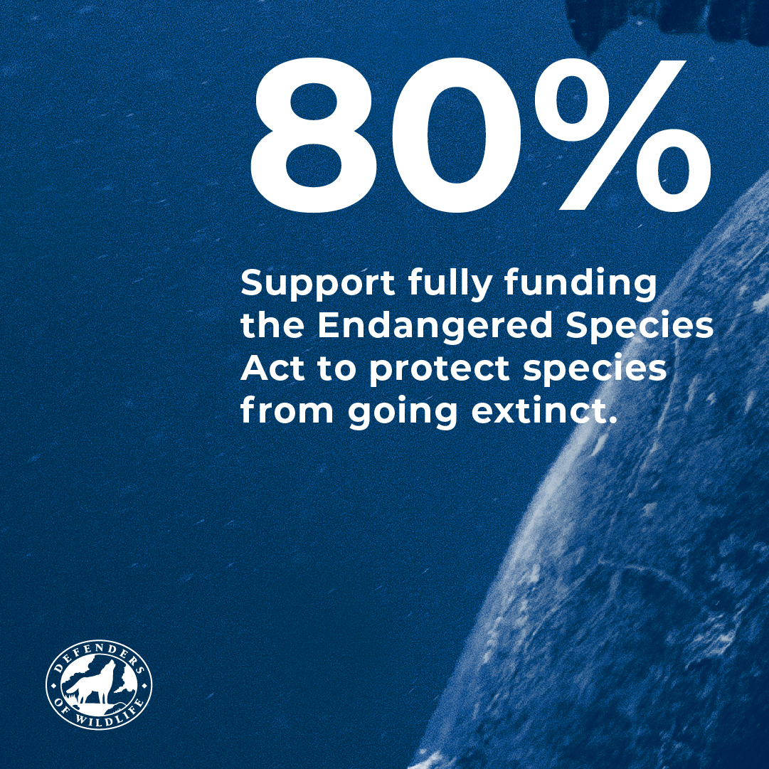 The Endangered Species Act | Defenders of Wildlife