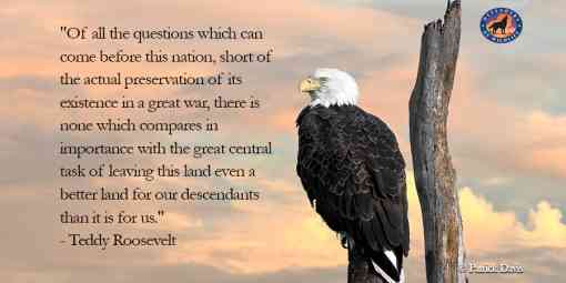 Teddy Roosevelt Quote with Bald Eagle