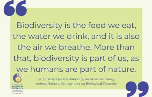 International Biological Diversity Day quote UN