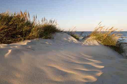 Pea Island NWR dunes Cape Hatteras