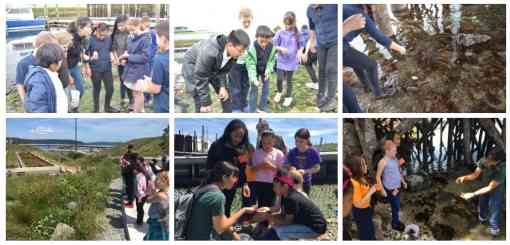 Students from Fern Hill and Blix explore Point Defiance and Commencement Bay