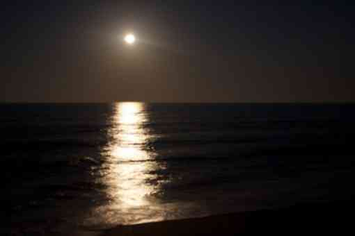 Moonlight on the ocean 