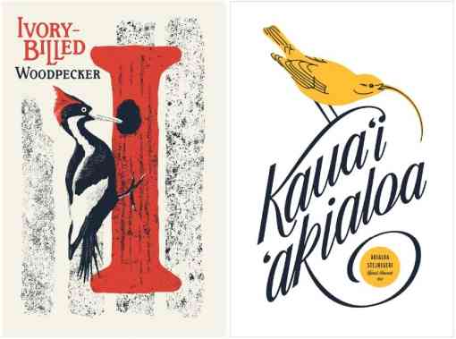 Type Hike posters I and K ivory-billed woodpecker and Kauai `akialoa