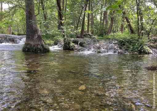 Cypress Creek Texas
