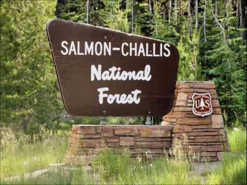 Salmon-Challis NF Sign 