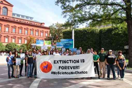 Climate Strike DC - Defenders Staff with Banner