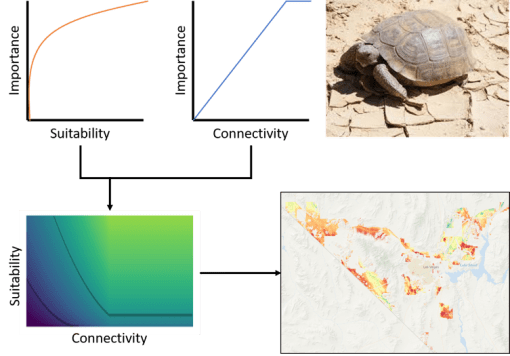 The tortoise and the solar panel graphic