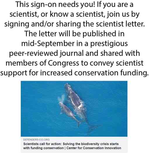 Click here to read and sign the letter