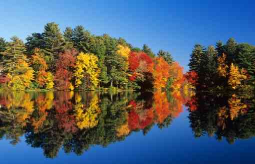 Rhode Island fall colors