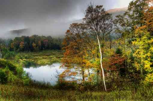 Fall colors forest and pond Manchester, Vermont