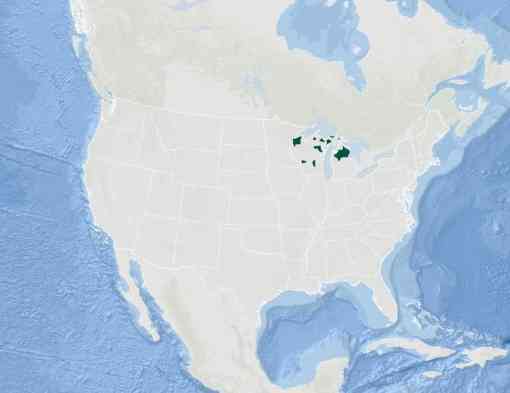 Kirtland's warbler breeding range map