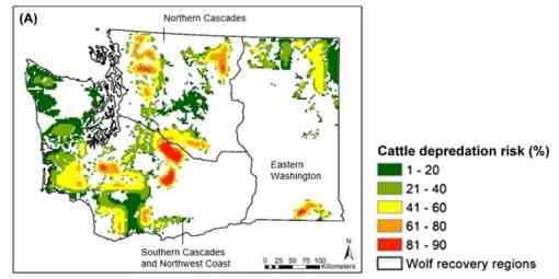 Predation risk map showing the probability of wolf depredation of cattle in Washington. Source: Hanley et al. 2018.