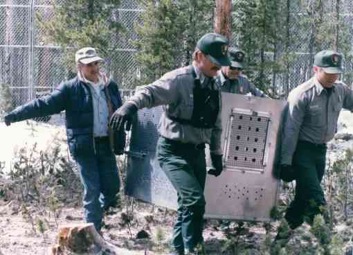 Rodger Schlickeisen at Yellowstone release