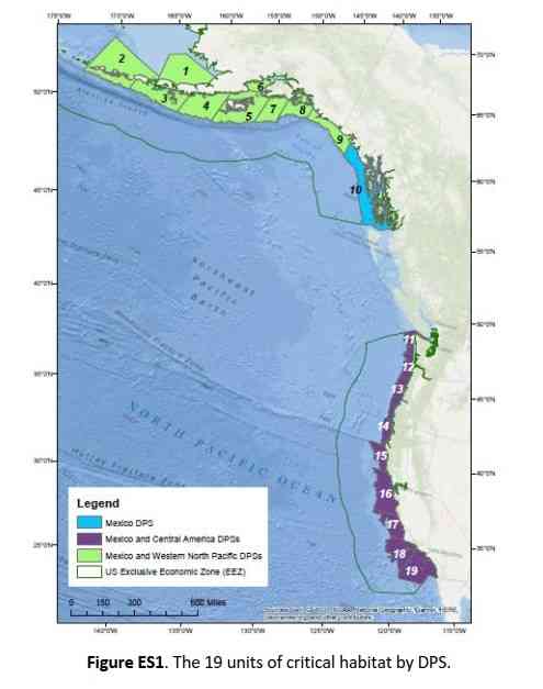 Map illustrating the 19 units of Proposed Critical Habitat and the Three ESA Listed Designated Population Segments. From: NMFS Humpback Whale Critical Habitat Proposed Rule; Draft Biological Report 2019 