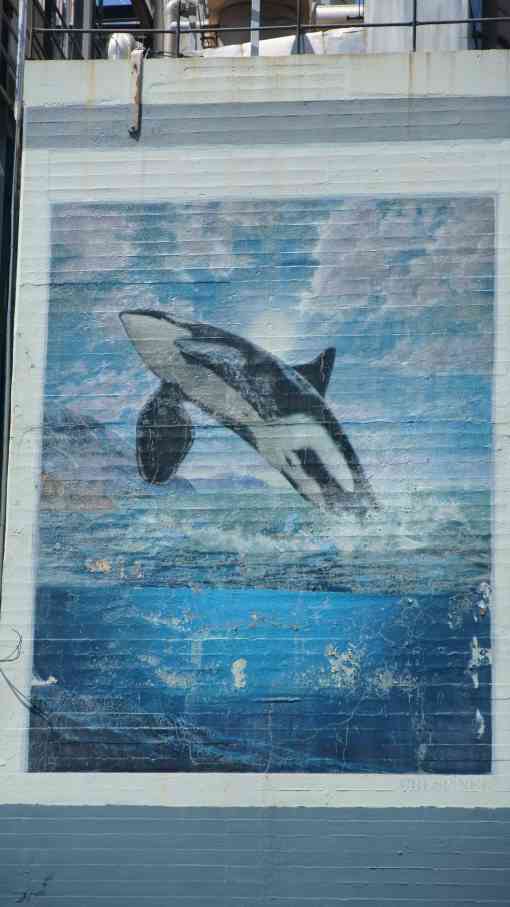 Orca Mural in Seattle