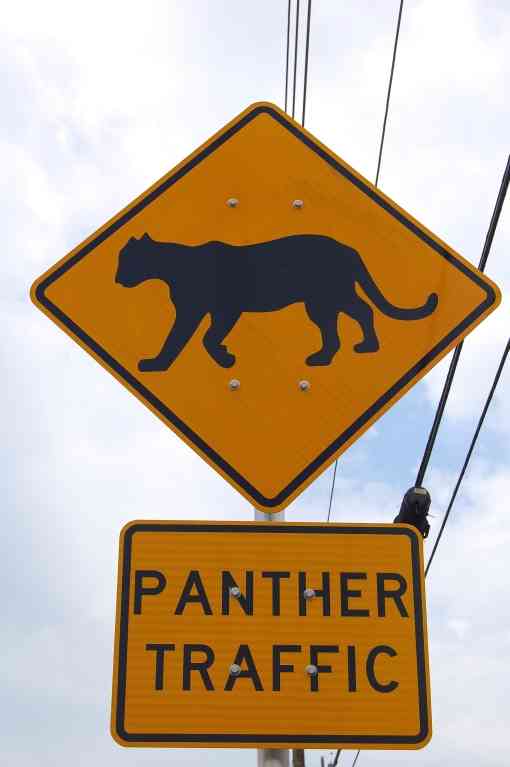 Panther traffic sign