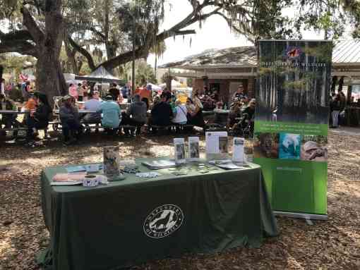 Tabling at the swamp cabbage festival in LaBelle, FL