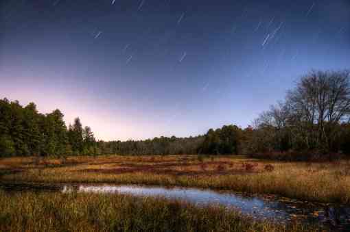 Star Trails in the Pine Barrens of Friendship NJ